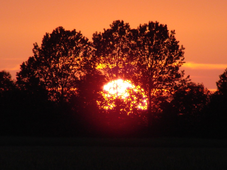 здоровый сон www.pixabay.com
