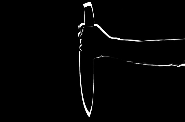 knife-316655_640.jpg www.pixabay.com