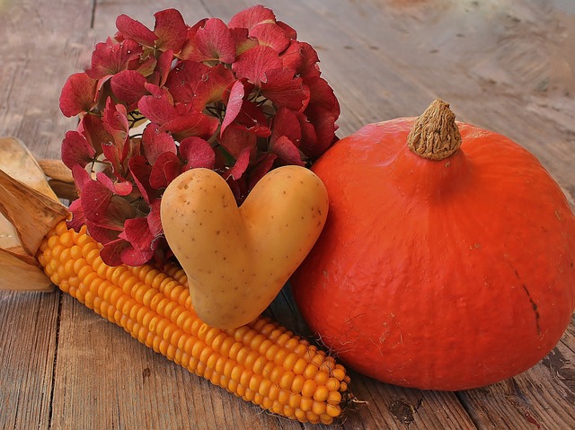 autumn-616270_640.jpg www.pixabay.com