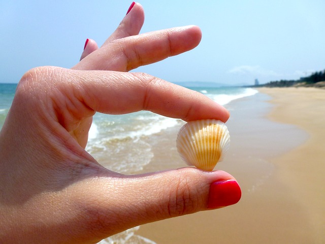 beach-544621_640.jpg www.pixabay.com
