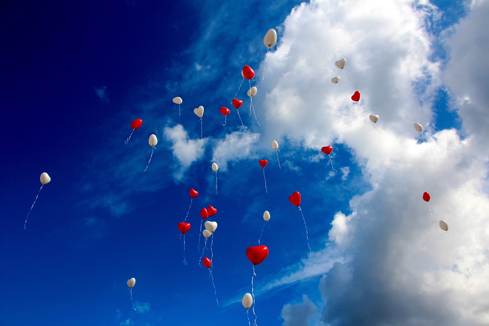 Трансплантология www.pixabay.com