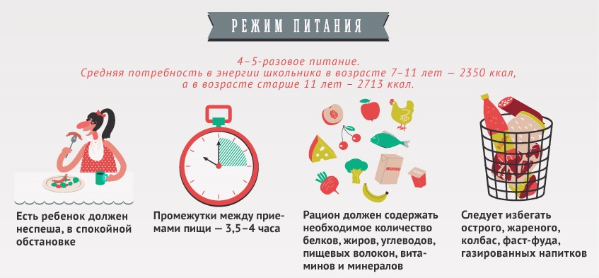 Режим питания школьника Роспотребнадзор