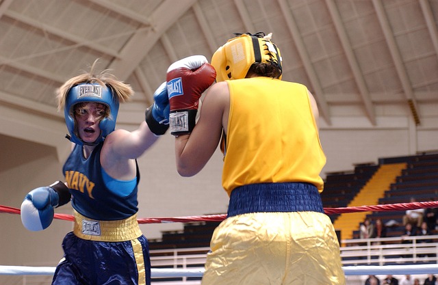 boxers-652379_640.jpg www.pixabay.com